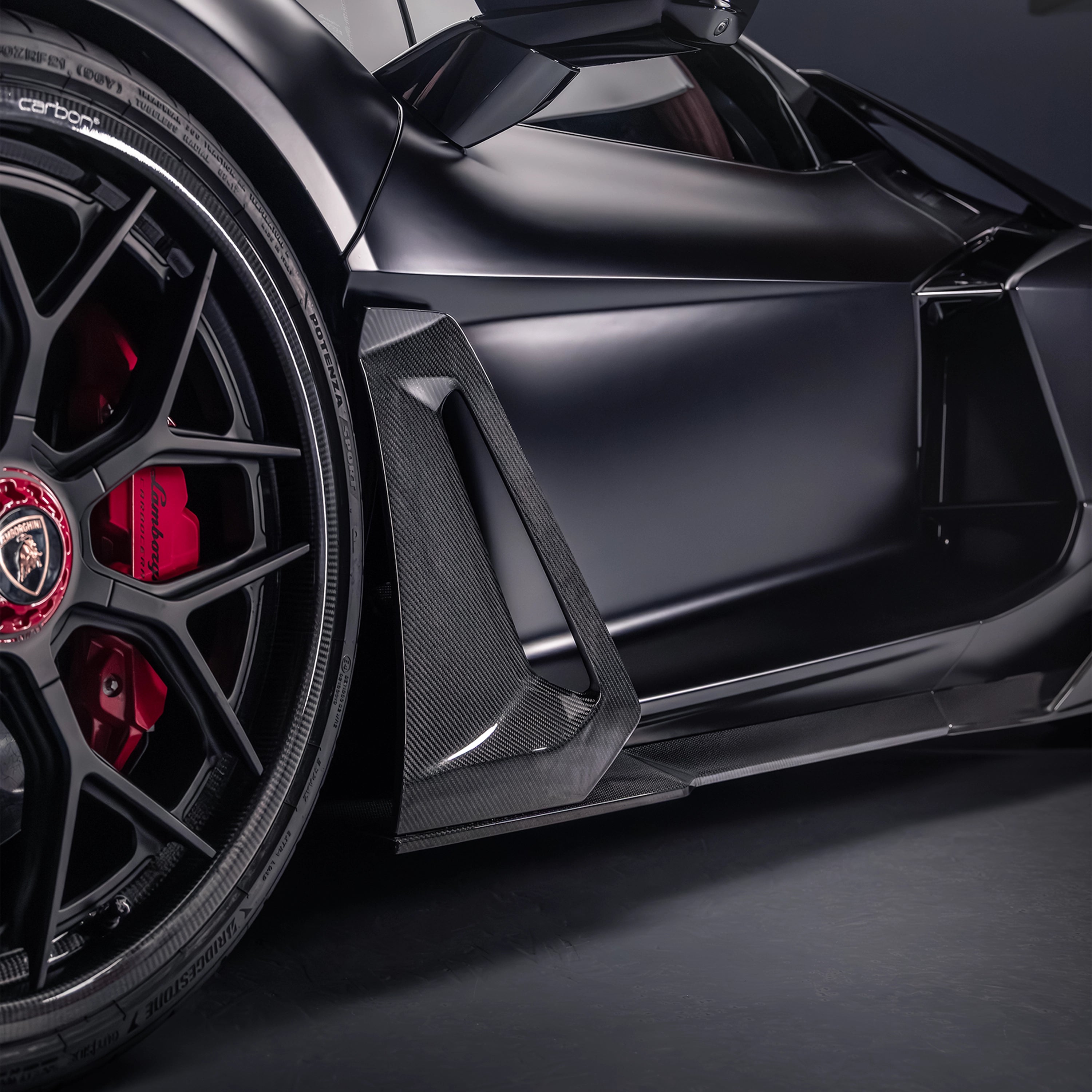 Lamborghini Revuelto - Carbon Fiber Door Blades