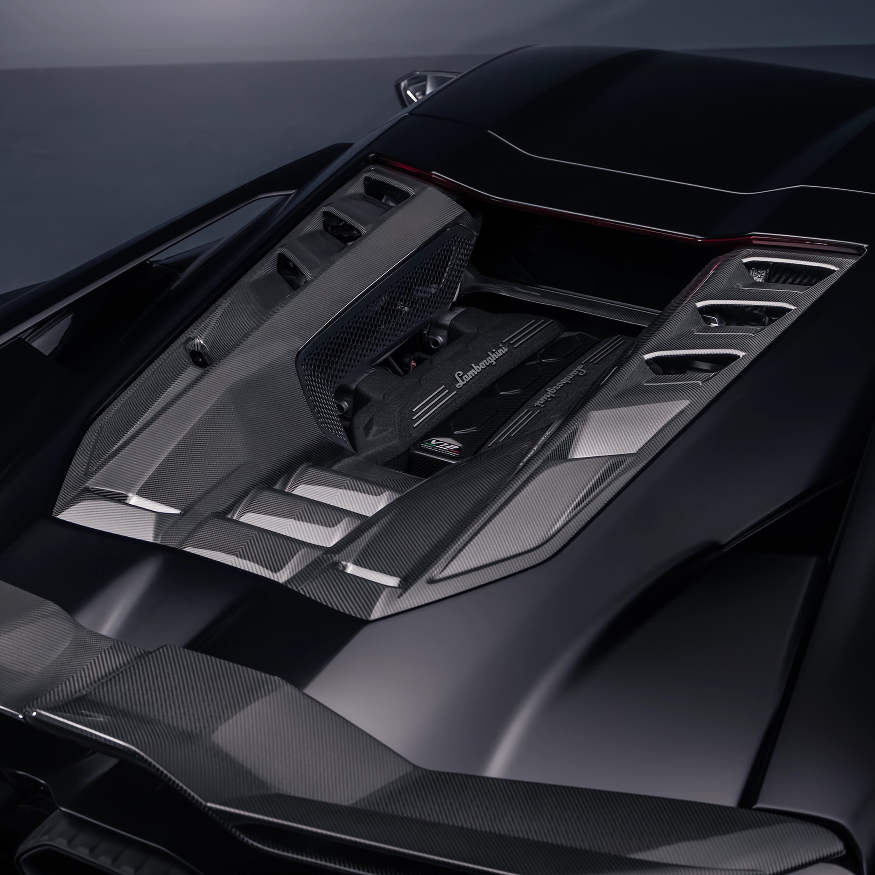 Lamborghini Revuelto - Carbon Fiber Engine Hatch Cover